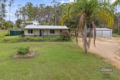 House For Sale - QLD - Glenwood - 4570 - LOWSET COMFORT ON A TERRIFIC CORNER BLOCK  (Image 2)