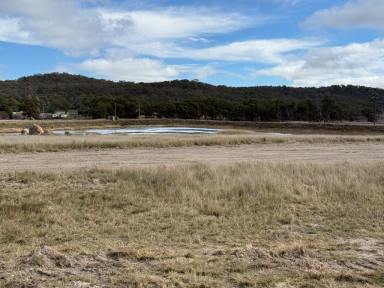 Residential Block For Sale - QLD - Stanthorpe - 4380 - 14 hectares vacant land ready to build on (Image 2)