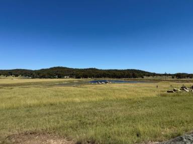 Residential Block For Sale - QLD - Stanthorpe - 4380 - 14 hectares vacant land ready to build on  (Image 2)