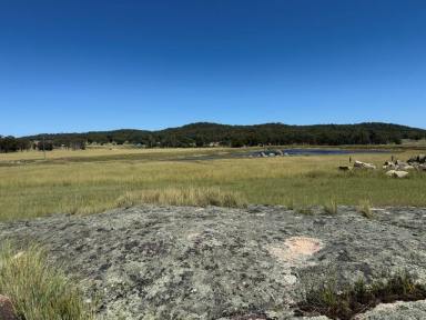 Residential Block For Sale - QLD - Stanthorpe - 4380 - 14 hectares vacant land ready to build on  (Image 2)