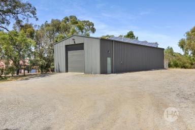 Acreage/Semi-rural For Sale - VIC - Langwarrin - 3910 - Premium Acreage with Huge Shed - Ideal for Work, Play or Investment (Image 2)