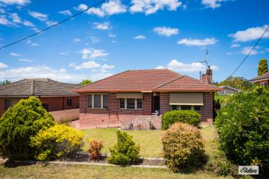 House For Sale - NSW - Bega - 2550 - Double Brick Home, Pool, Prime Bega Spot  (Image 2)