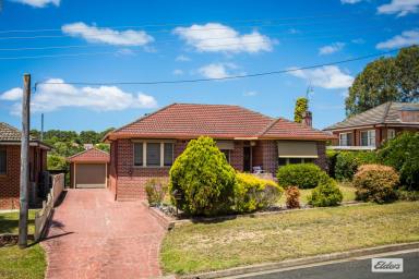 House For Sale - NSW - Bega - 2550 - Double Brick Home, Pool, Prime Bega Spot  (Image 2)