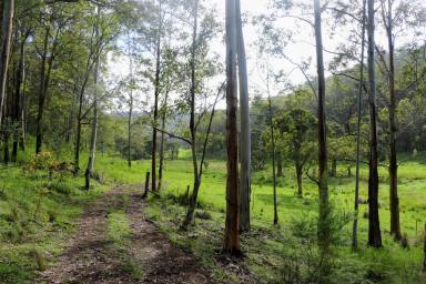 Residential Block For Sale - NSW - Putty - 2330 - "Wilderness Haven" - An expansive & diverse Rural Retreat  (Image 2)