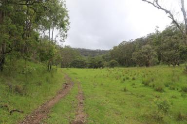 Residential Block For Sale - NSW - Putty - 2330 - "Wilderness Haven" - An expansive & diverse Rural Retreat  (Image 2)