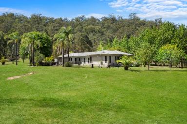 House For Sale - NSW - Putty - 2330 - The Ultimate 115 Acre Lifestyle Property with Family friendly Amenities  (Image 2)