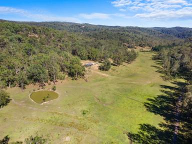 Acreage/Semi-rural For Sale - NSW - Putty - 2330 - Your Secluded 108 Acre Lifestyle Retreat  (Image 2)