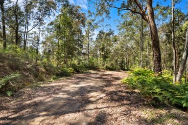 Residential Block For Sale - NSW - Putty - 2330 - 525.14 hectares (1,297.64 acres) of natural beauty  (Image 2)
