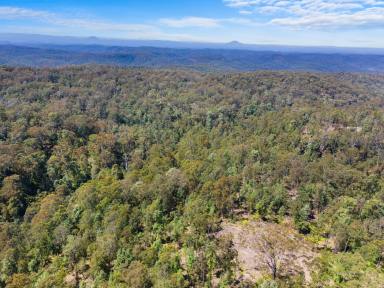 Residential Block For Sale - NSW - Putty - 2330 - 525.14 hectares (1,297.64 acres) of natural beauty  (Image 2)