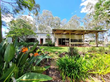 Acreage/Semi-rural For Sale - QLD - Wondecla - 4887 - Guacamole Grove  (Image 2)