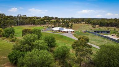 House For Sale - VIC - Maiden Gully - 3551 - Spacious Family Living With Exceptional Outdoor Features (Image 2)