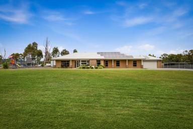 House For Sale - VIC - Maiden Gully - 3551 - Spacious Family Living With Exceptional Outdoor Features (Image 2)
