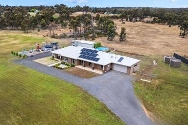 House For Sale - VIC - Maiden Gully - 3551 - Spacious Family Living with Exceptional Outdoor Features (Image 2)