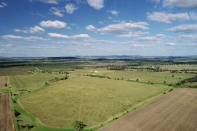 Other (Rural) For Sale - QLD - Thangool - 4716 - Convenient Location - Modern Structural Improvements  (Image 2)