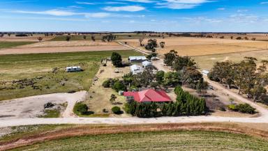 Mixed Farming Auction - SA - Mundulla - 5270 - Kongal Park (Image 2)