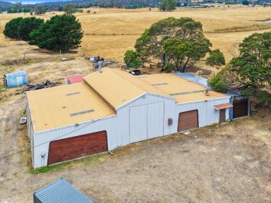 House For Sale - TAS - Hadspen - 7290 - A Standout Property of Scale and Substance!  (Image 2)