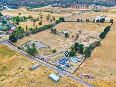 House For Sale - TAS - Hadspen - 7290 - A Standout Property of Scale and Substance!  (Image 2)