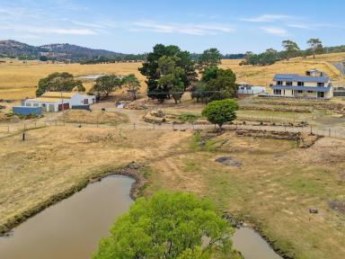 House For Sale - TAS - Hadspen - 7290 - 17.2 Acres of Space, Sheds, and Serious Potential!  (Image 2)