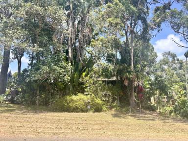 House For Sale - QLD - Macleay Island - 4184 - Steps to the Water with Endless Potential  (Image 2)