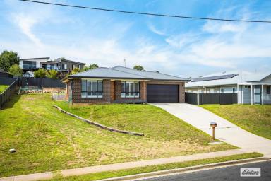 House For Sale - NSW - Bega - 2550 - Spacious Family Living in Bega  (Image 2)