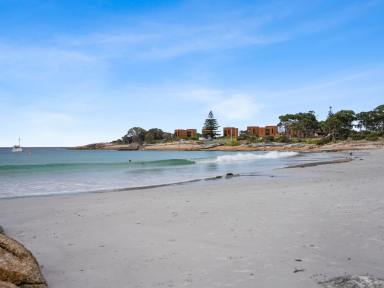 Residential Block For Sale - TAS - Bicheno - 7215 - East Coast Waterfront Opportunity  (Image 2)