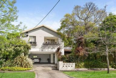 Apartment For Lease - VIC - Brighton - 3186 - OVERSIZED BEACHSIDE 2-BEDROOM UNIT  (Image 2)