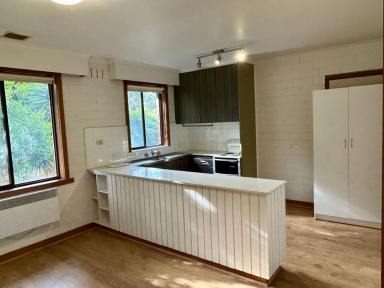 Apartment For Lease - VIC - Brighton - 3186 - OVERSIZED BEACHSIDE 2-BEDROOM UNIT  (Image 2)