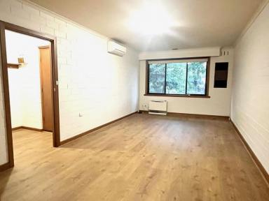 Apartment For Lease - VIC - Brighton - 3186 - OVERSIZED BEACHSIDE 2-BEDROOM UNIT (Image 2)