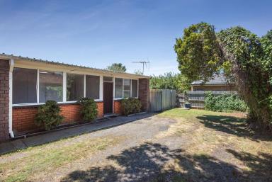 Unit Leased - VIC - Chelsea - 3196 - BRAND NEW KITCHEN - FRESHLY PAINTED THROUGHOUT - BRAND NEW CARPETS  (Image 2)