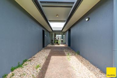 House Leased - QLD - Edmonton - 4869 - Spacious Family Home with Side Access!  (Image 2)