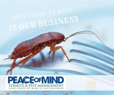 Business For Sale - NSW - Uki - 2484 - Established Termite & Pest Management Business Flexible, Mobile Operation. WIWO (Image 2)