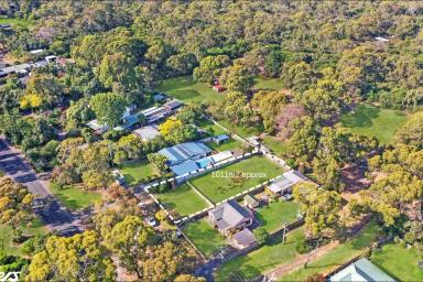 Residential Block For Sale - VIC - Langsborough - 3971 - A BLOCK WITH A FUTURE IN LANGSBOROUGH  (Image 2)