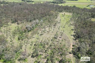 Residential Block For Sale - QLD - Calvert - 4340 - 50 Acres of Lifestyle  (Image 2)