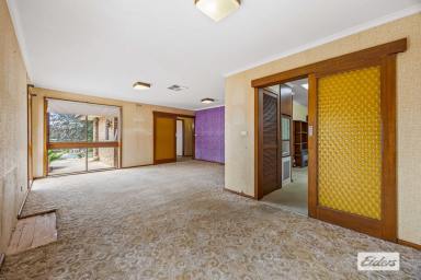 House For Sale - VIC - Stawell - 3380 - Excellent Renovation Opportunity  (Image 2)