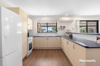 House For Sale - NSW - Rutherford - 2320 - Single level family living with an elevated outlook  (Image 2)