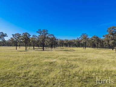 Lifestyle For Sale - NSW - Pokolbin - 2320 - Burranura - A Landmark 40 Hectare Holding in the Heart of Hunter Valley Wine Country  (Image 2)