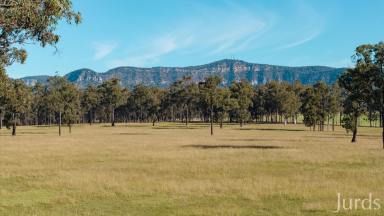 Lifestyle For Sale - NSW - Pokolbin - 2320 - Burranura - A Landmark 40 Hectare Holding in the Heart of Hunter Valley Wine Country  (Image 2)