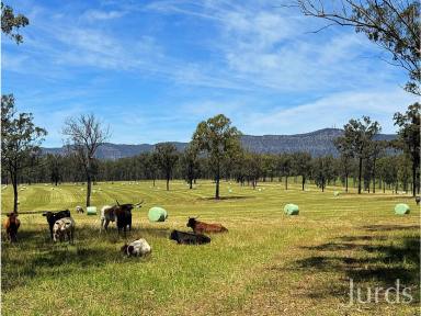 Lifestyle For Sale - NSW - Pokolbin - 2320 - Burranura - A Landmark 40 Hectare Holding in the Heart of Hunter Valley Wine Country  (Image 2)