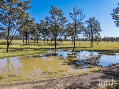 Lifestyle For Sale - NSW - Pokolbin - 2320 - Burranura - A Landmark 40 Hectare Holding in the Heart of Hunter Valley Wine Country  (Image 2)