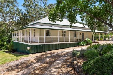 House For Sale - QLD - Top Camp - 4350 - 'Kinross'- Character, Privacy and Lifestyle only minutes from Town  (Image 2)