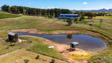 Residential Block For Sale - NSW - Rylstone - 2849 - VIEWS, VINEYARDS AND ENDLESS POSSIBILITIES  (Image 2)