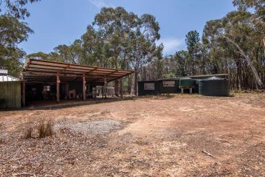 Other (Rural) For Sale - NSW - Mudgee - 2850 - Escape Done Properly  (Image 2)