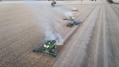 Cropping For Sale - NSW - Tullamore - 2874 - Broadacre, Bigger, Better  (Image 2)