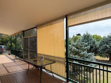 House For Sale - QLD - Pozieres - 4352 - Charming Country home short drive to Stanthorpe  (Image 2)