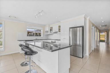 House For Sale - NSW - Mudgee - 2850 - MODERN LIVING ON 1,711SQM  (Image 2)