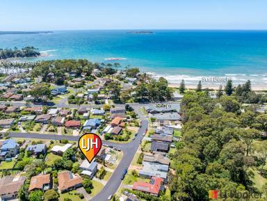 House For Sale - NSW - Surf Beach - 2536 - A PERFECT LIFESTYLE PROPERTY  (Image 2)