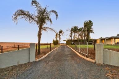 Acreage/Semi-rural For Sale - VIC - Nangiloc - 3494 - Premium Country Home, Lifestyle & Infrastructure!  (Image 2)