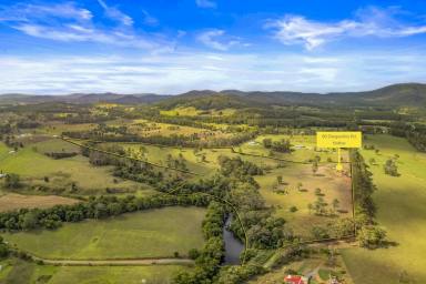 Lifestyle For Sale - NSW - Nabiac - 2312 - Dwelling Entitlement, River Front - Endless Opportunities  (Image 2)
