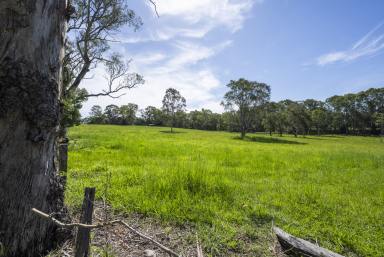 Residential Block For Sale - NSW - Lawrence - 2460 - SUBDIVIDABLE 3.73 HA FARMLET OPPOSITE LAWRENCE SCHOOL  (Image 2)
