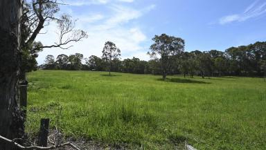 Residential Block For Sale - NSW - Lawrence - 2460 - SUBDIVIDABLE 3.73 HA FARMLET OPPOSITE LAWRENCE SCHOOL  (Image 2)